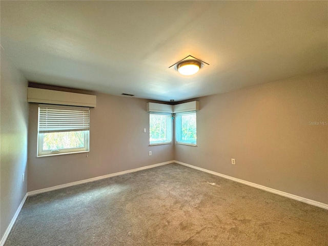 empty room featuring plenty of natural light and carpet floors