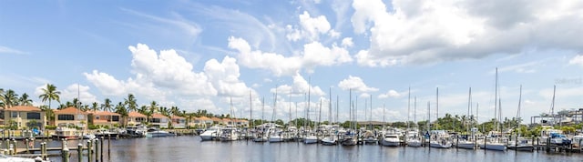 water view featuring a dock