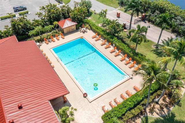 view of swimming pool featuring a patio