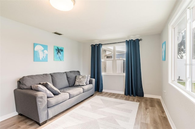 living room with hardwood / wood-style flooring