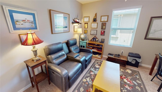 sitting room with carpet floors