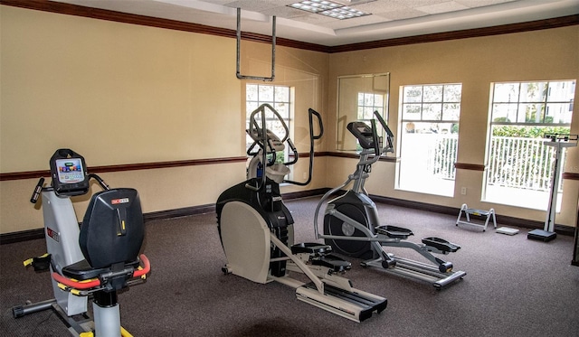 workout area featuring crown molding, carpet, and a wealth of natural light