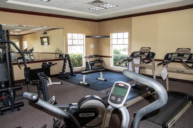 workout area featuring a drop ceiling, carpet flooring, and ornamental molding