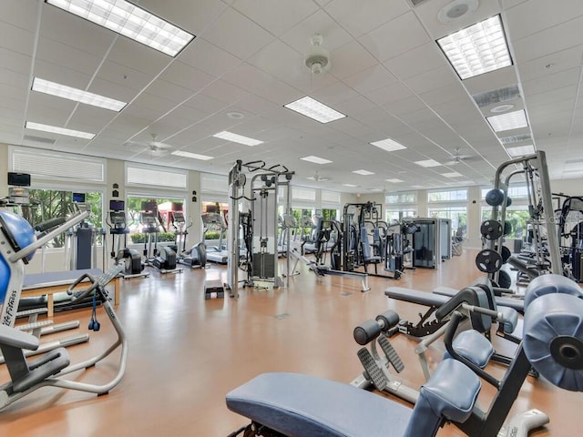 workout area featuring a wealth of natural light and a drop ceiling