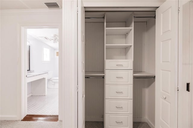 view of closet