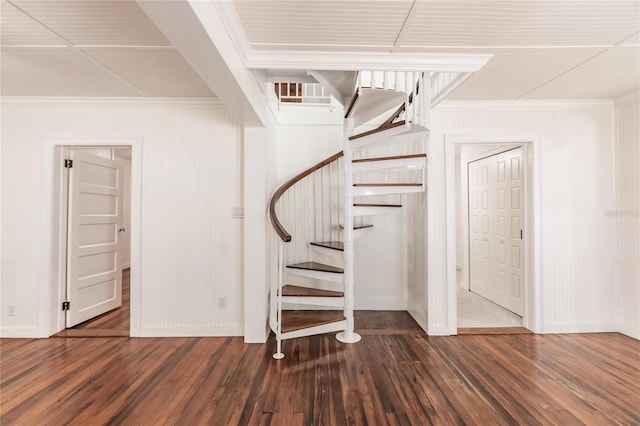 staircase featuring wood-type flooring