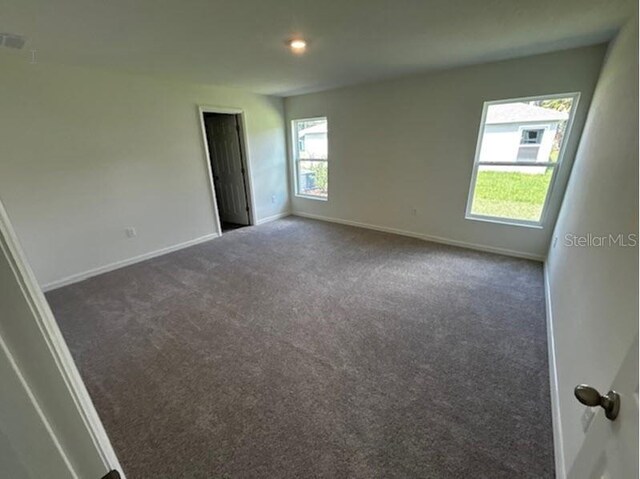 spare room featuring carpet and a healthy amount of sunlight