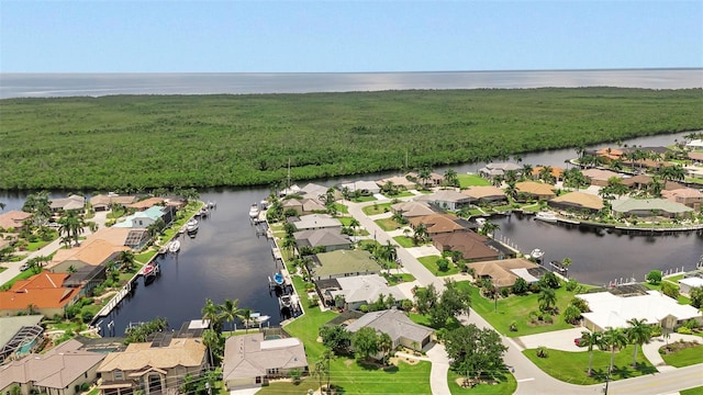 bird's eye view with a water view