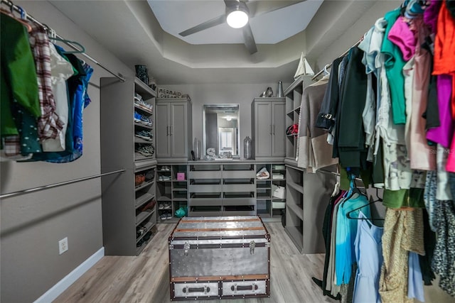 spacious closet featuring a tray ceiling, light hardwood / wood-style flooring, and ceiling fan