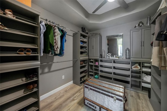 spacious closet with ceiling fan, light wood-type flooring, and a tray ceiling