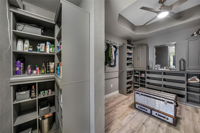 spacious closet featuring light hardwood / wood-style flooring, ceiling fan, and a tray ceiling