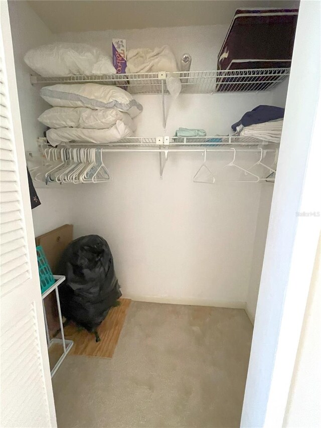 spacious closet with carpet floors