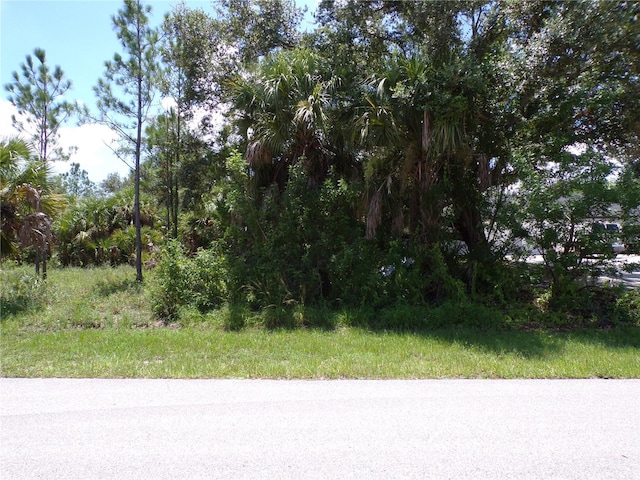 19143 Roosevelt Ave, Port Charlotte FL, 33954 land for sale