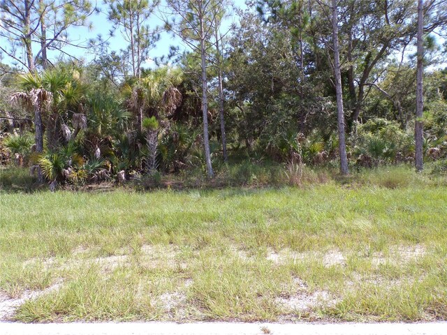17039 Wintergarden Ave, Port Charlotte, FL 33948 - photo 2