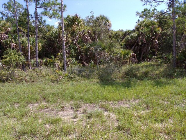 17039 Wintergarden Ave, Port Charlotte, FL 33948 - photo 5