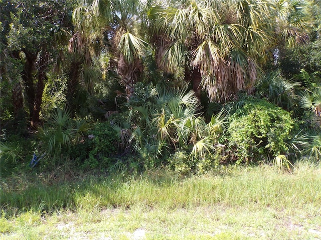 17340 Poston Ave, Port Charlotte, FL 33948
