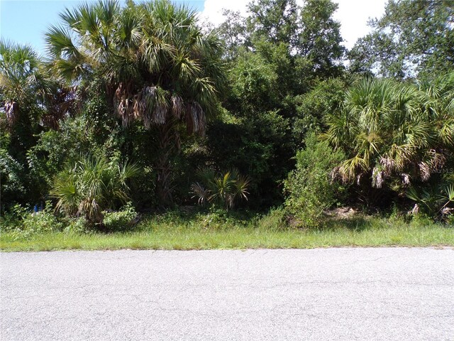 17324 Poston Ave, Port Charlotte, FL 33948 - photo 13