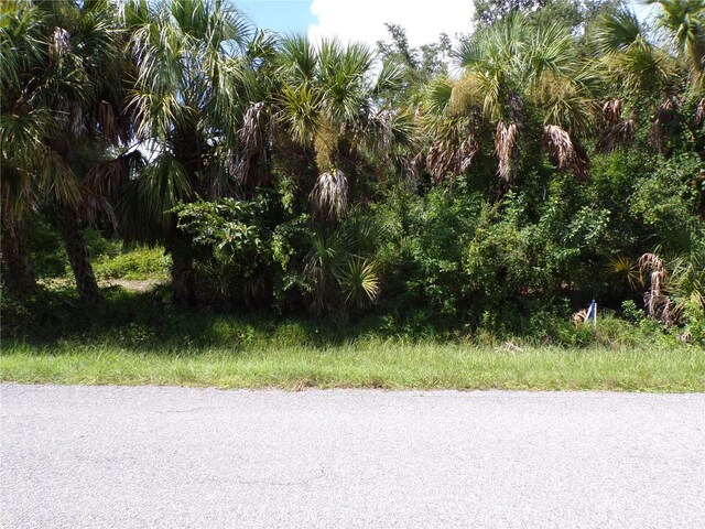 17324 Poston Ave, Port Charlotte, FL 33948 - photo 15