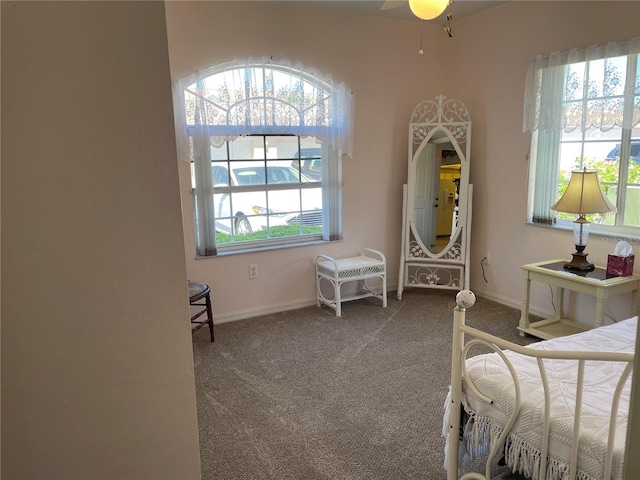 bedroom with carpet floors