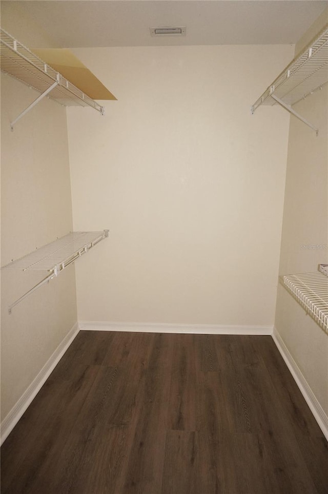 walk in closet featuring dark hardwood / wood-style flooring