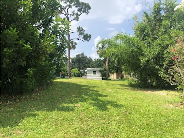 view of yard featuring a storage shed