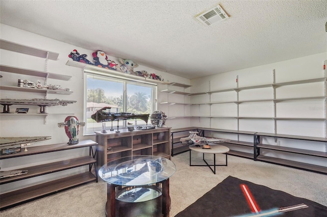 miscellaneous room featuring light carpet and a textured ceiling