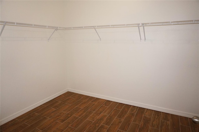 walk in closet with dark hardwood / wood-style floors