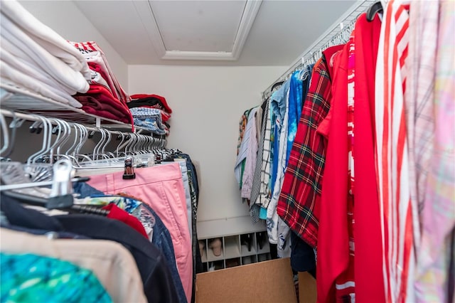 view of spacious closet