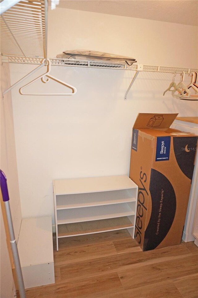 spacious closet with wood-type flooring