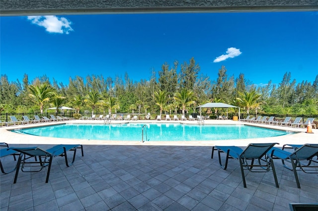 view of pool featuring a patio area