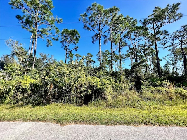 12338 Catalina Dr, Punta Gorda, FL 33955