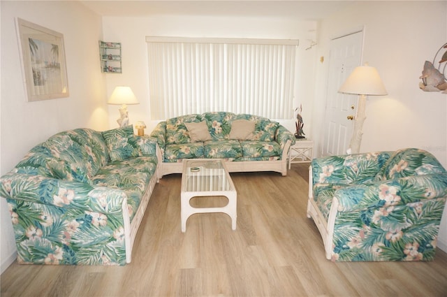 living room featuring light hardwood / wood-style flooring