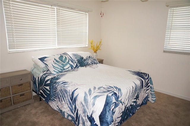 bedroom featuring multiple windows and carpet flooring