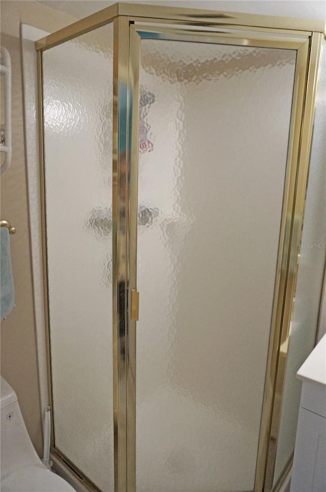 full bathroom with a shower stall and vanity