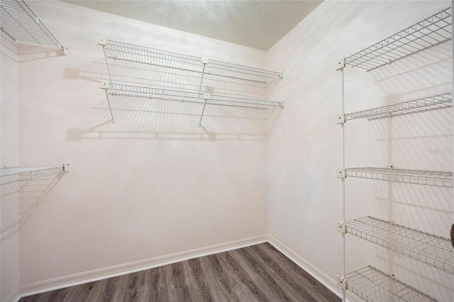 walk in closet featuring dark hardwood / wood-style flooring