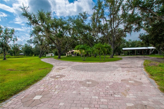 view of home's community featuring a lawn and curved driveway