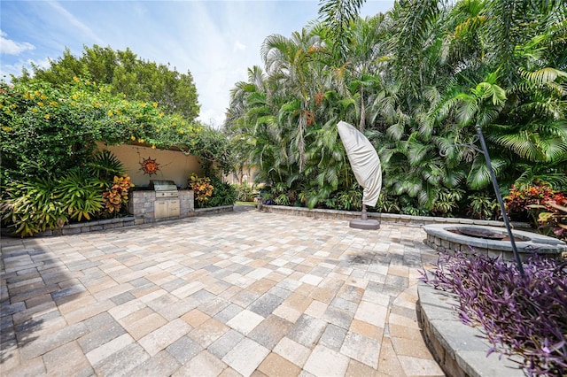 view of patio / terrace with area for grilling