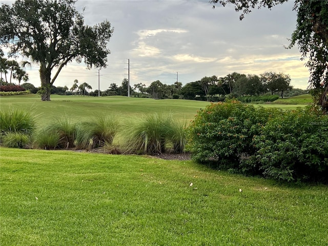 view of property's community featuring a yard