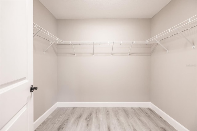 walk in closet with light wood finished floors