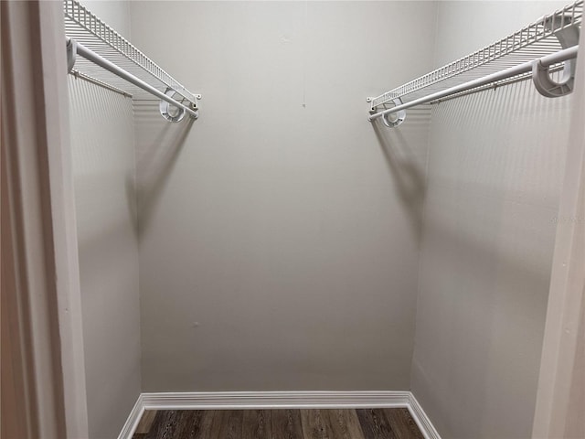 spacious closet featuring dark wood-type flooring