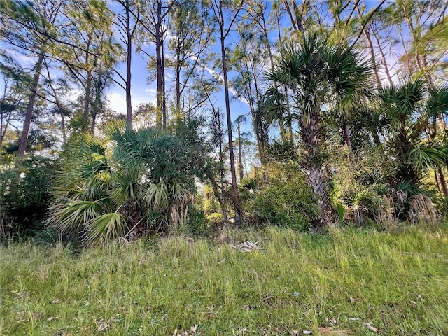 Lummus St, North Port FL, 34286 land for sale