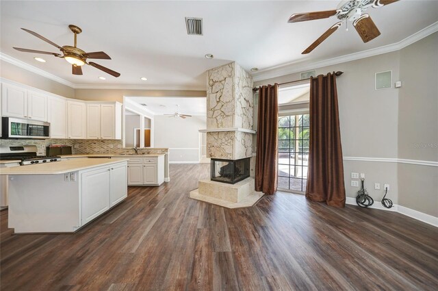 kitchen featuring dark hardwood / wood-style floors, stainless steel appliances, decorative backsplash, and a fireplace