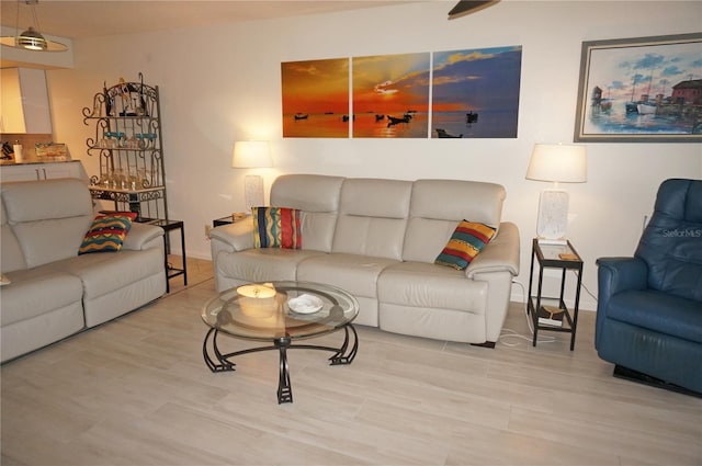 living room with light hardwood / wood-style flooring