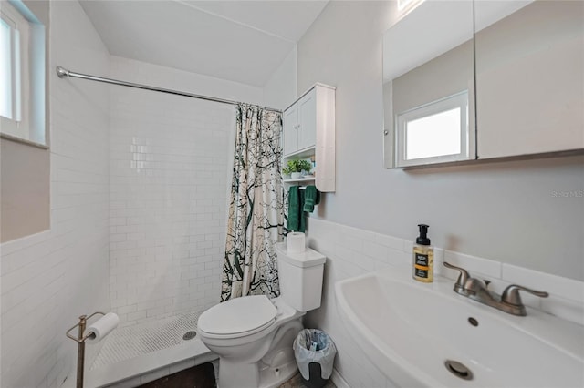 bathroom with a sink, a shower stall, and toilet