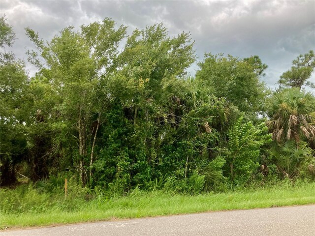 26373 Deer Rd, Punta Gorda, FL 33955