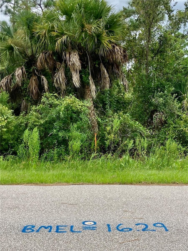 26373 Deer Rd, Punta Gorda, FL 33955