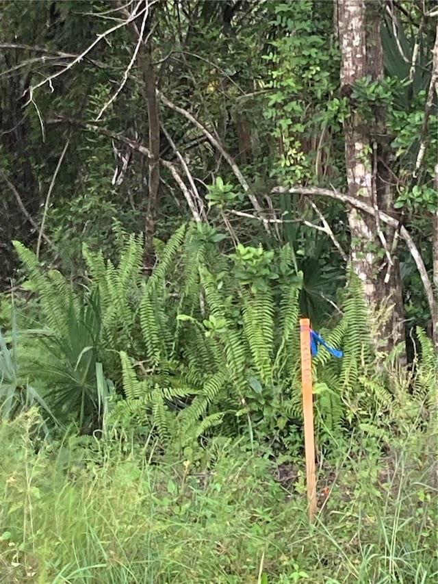 26373 Deer Rd, Punta Gorda, FL 33955