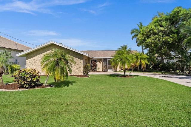 view of front of property with driveway, stone siding, and a front lawn