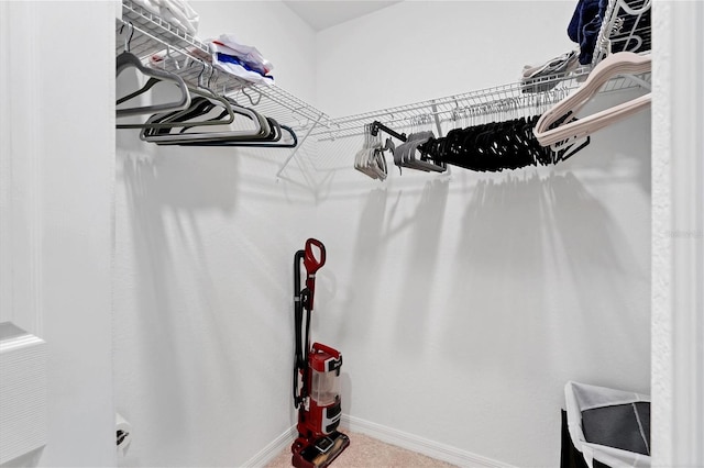 spacious closet featuring carpet floors