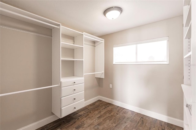 walk in closet featuring dark hardwood / wood-style flooring